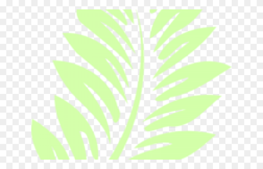 640x480 Tropical Leaf Cliparts Motif, Plant, Green, Bicycle HD PNG Download