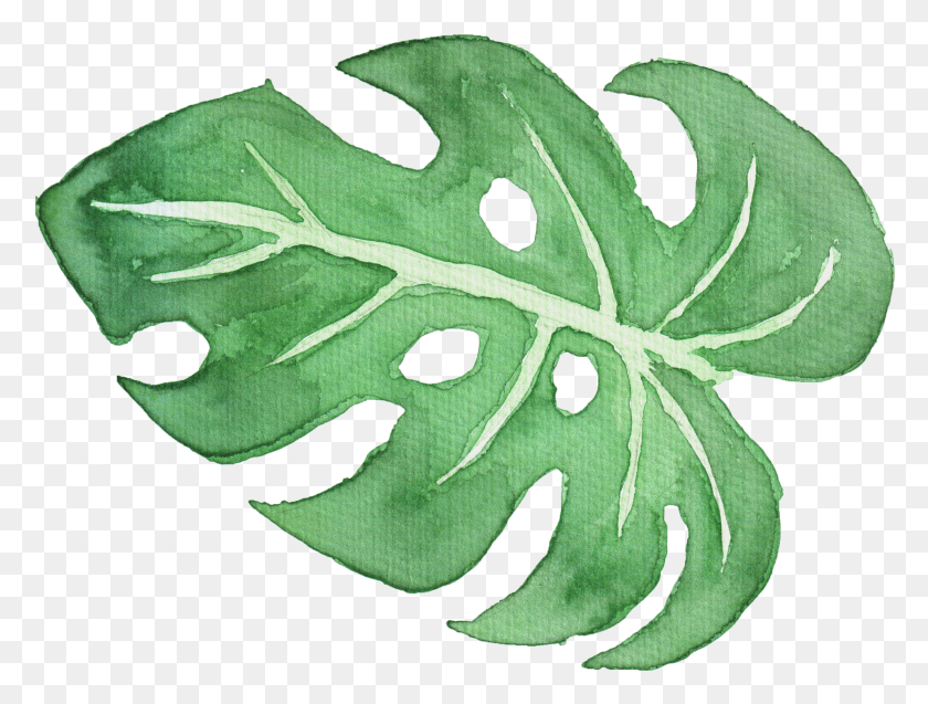 2285x1691 Tropical Leaf Watercolor HD PNG Download