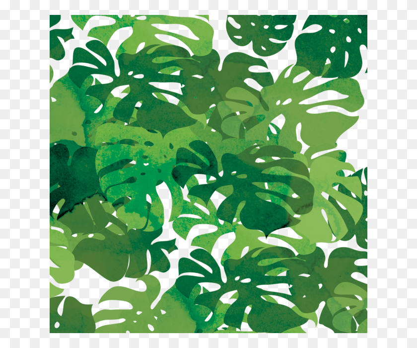 640x640 Тропические Листья И Дерево, Растительность, Растение, Тропический Лес Hd Png Скачать