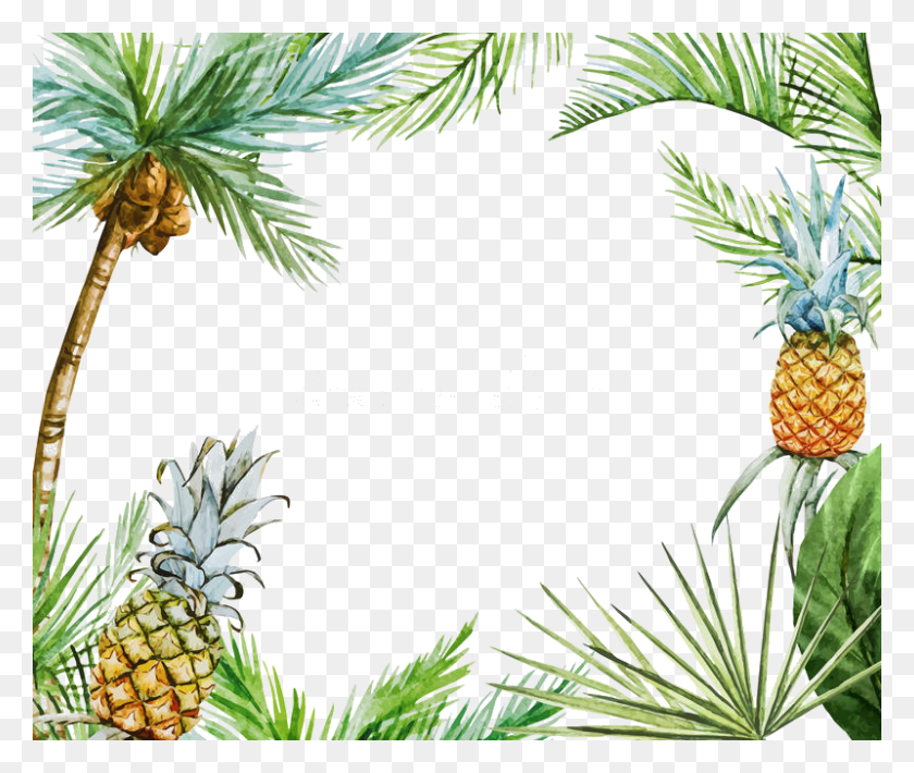 800x667 Tropical Leaves Frame Valeriam Trendme Net Tropical Frame, Plant, Pineapple, Fruit HD PNG Download