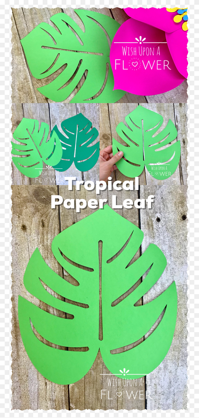 750x1702 Tropical Paper Leaf For Paper Flower Decorations Moana Paper Flowers, Plant, Clothing, Apparel HD PNG Download