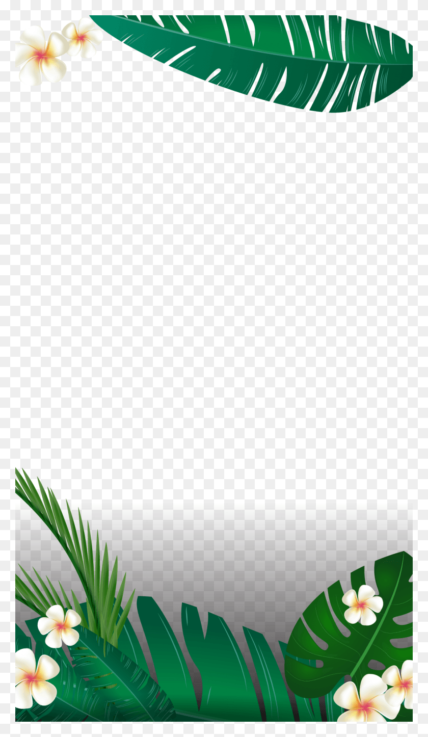 1080x1920 Tropical Paradise Tropical Snapchat Filter, Plant, Tree, Potted Plant HD PNG Download