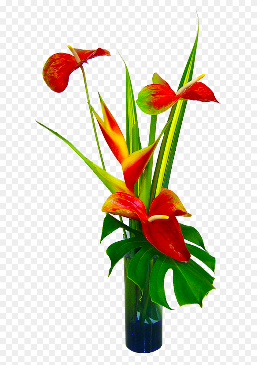 644x1129 Тропические Шелковые Цветочные Композиции Композиция Из Тропических Цветов, Растение, Цветение, Амариллис Png Скачать