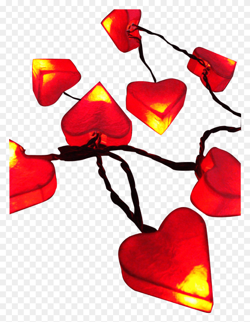 1001x1313 Tropical Theme Party Heart Shaped Mini Led Lights String Heart, Petal, Flower, Plant HD PNG Download