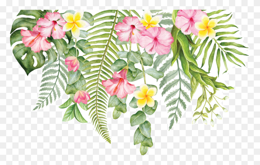 898x545 Tropical Tropical Flower Tropical, Plant, Blossom, Geranium HD PNG Download