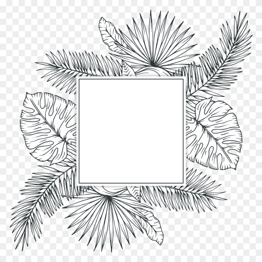 950x950 Tropical Vector Sketch Tropical Plants In Black And White, Green, Plant, Text HD PNG Download