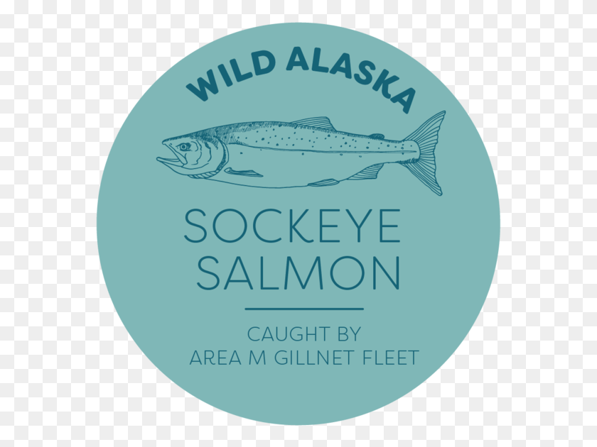 571x570 Trout, Label, Text, Fish HD PNG Download