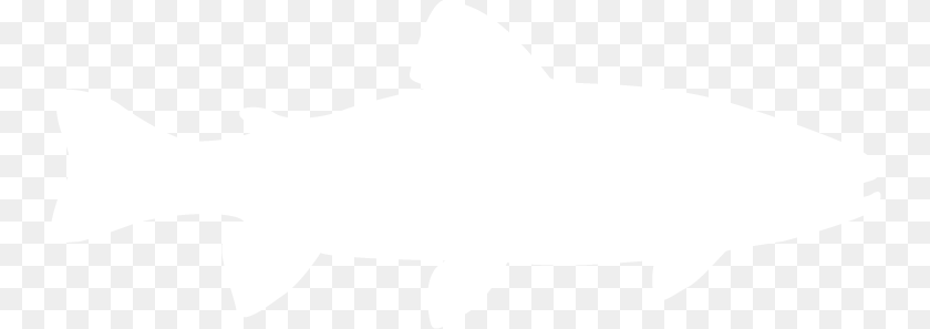 Trout, Animal, Sea Life, Fish, Shark Sticker PNG