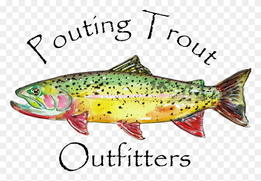 1878x1261 Trout Brown Trout, Fish, Animal HD PNG Download