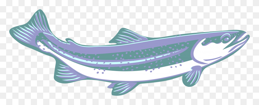 6314x2272 Trout Clip Art Purple Blue White Speckled Curved Canoe, Fish, Animal, Cod HD PNG Download