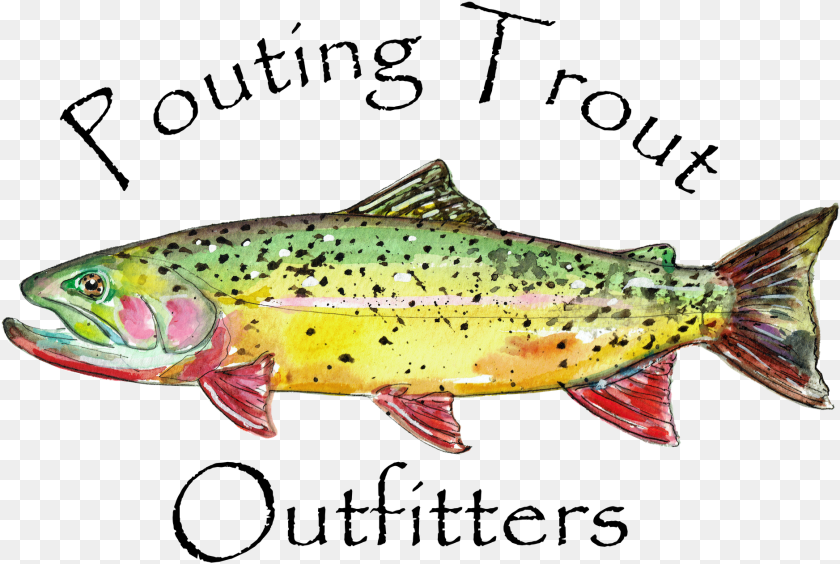Trout Download Brown Trout, Animal, Fish, Sea Life Clipart PNG
