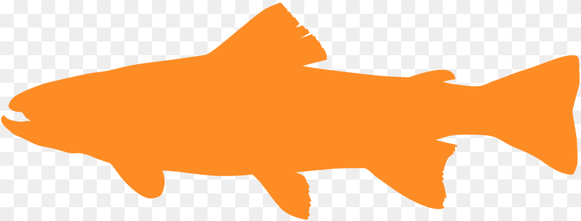 Trout Silhouette, Animal, Sea Life, Fish, Shark Sticker PNG