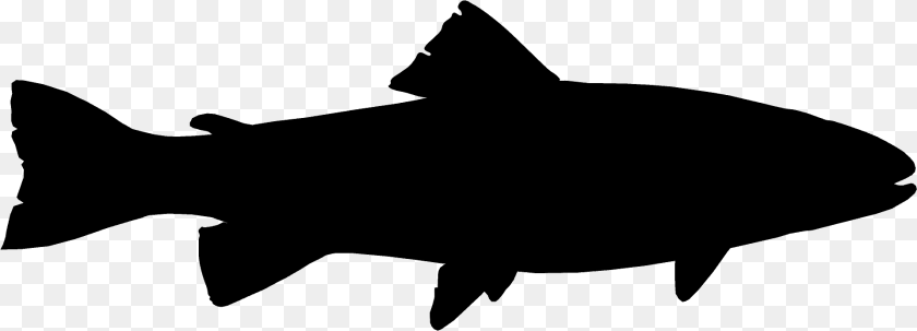 Trout Silhouette, Animal, Fish, Sea Life, Shark Clipart PNG