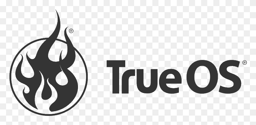 780x351 Trueos User Guide Trueos, Text, Label, Logo HD PNG Download