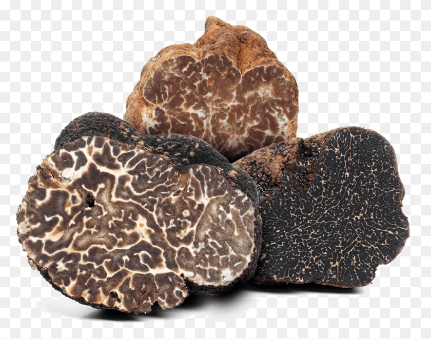 946x729 Truffle Cultivation Brumale Truffle, Nature, Sea, Outdoors HD PNG Download