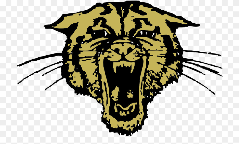 725x505 Trumann Wildcats Clipart Download Bearcat Douglas Wyoming High School, Animal, Lion, Mammal, Wildlife Transparent PNG