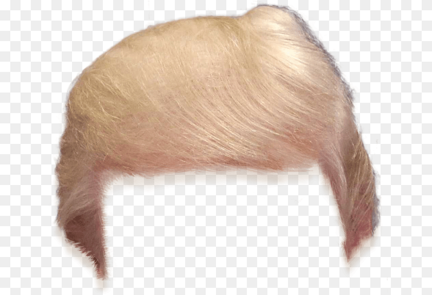 667x574 Trump Hair Transparent Trump Hair, Adult, Blonde, Female, Person Clipart PNG