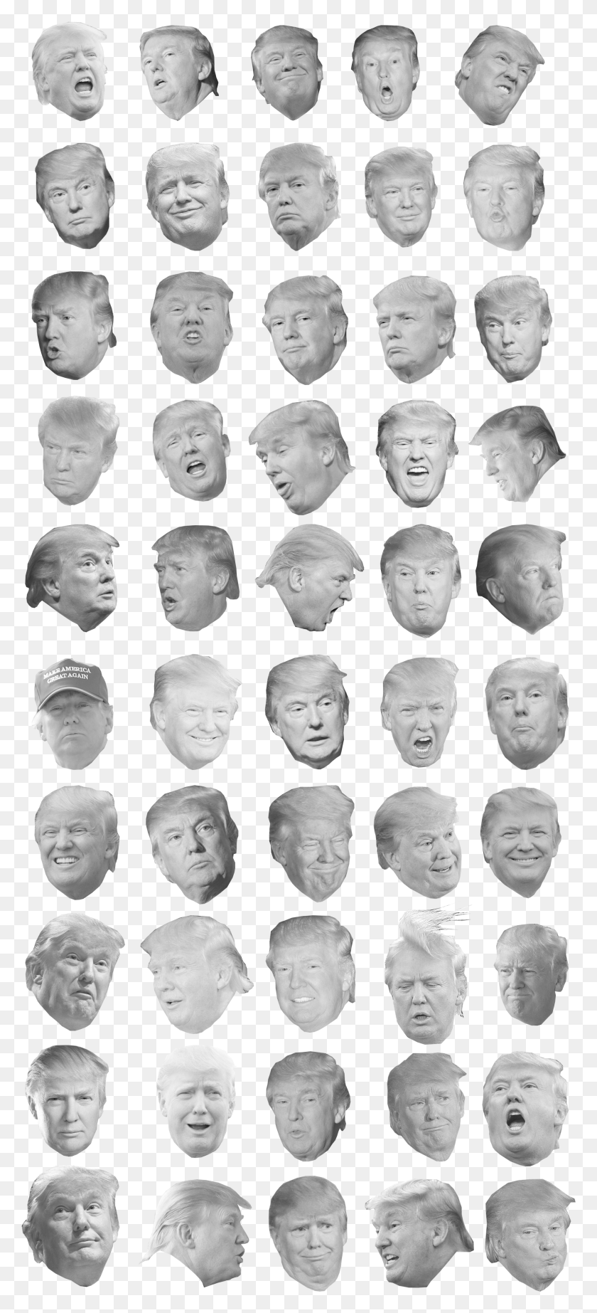 1902x4354 Trump Head Cutouts Courtesy Of Uhasselbuddy, Face, Person, Human Descargar Hd Png