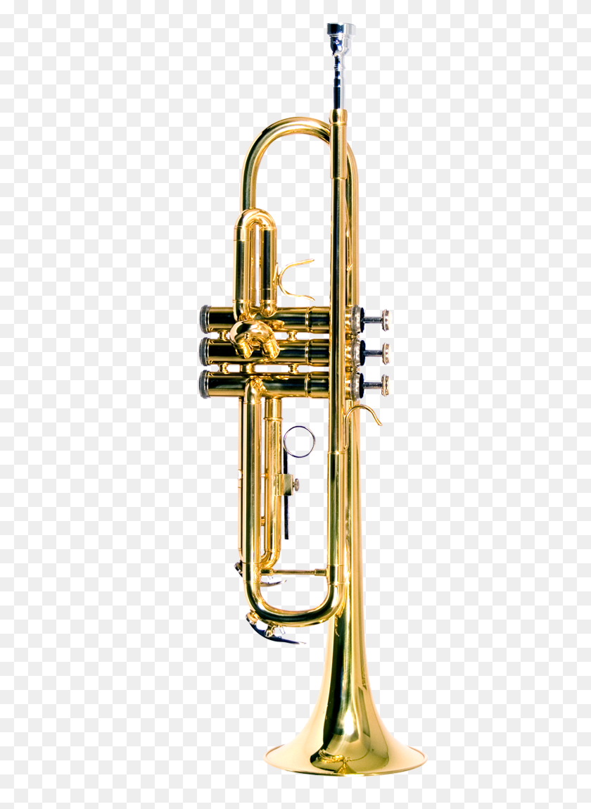 378x1089 Trumpet Color, Horn, Brass Section, Musical Instrument HD PNG Download