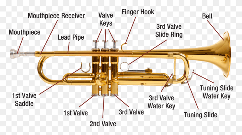 953x501 Trumpet Diagram Image Trumpet, Horn, Brass Section, Musical Instrument HD PNG Download