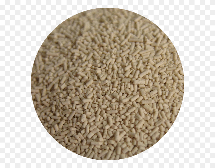 600x600 Tsp Fresh Yeast Water Bread Maker Yeast, Plant, Rug, Food HD PNG Download