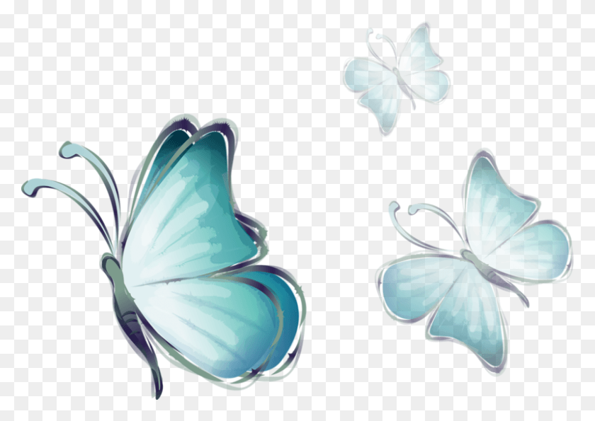 800x549 Tube Papillon Flores Y Mariposas, Planta, Flor, Flor Hd Png