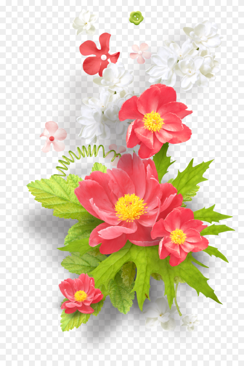 Тубы, Растение, Цветок, Цвести Hd Png Скачать