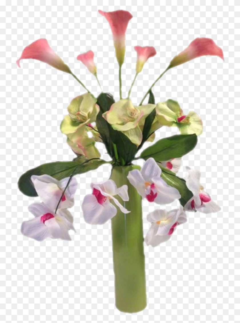 734x1068 Tubes Fleurs Vase Tube Fleur Vase En, Plant, Flower, Blossom HD PNG Download