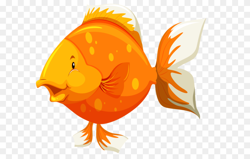 600x536 Tubes Poissons Images For My Projects Primary, Animal, Fish, Sea Life, Goldfish Transparent PNG