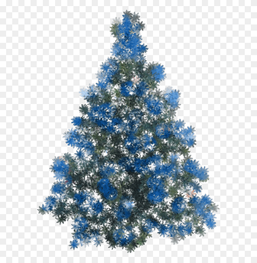601x800 Tubes Sapins Noel Pngpour Vos Creas Christmas Tree, Ornament, Tree, Plant HD PNG Download