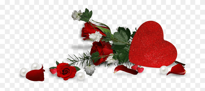 705x313 Pngservez Vous Tubes St Valentin Поздравления С Днем ​​Рождения, Растение, Цветок, Цветение Hd Png Скачать