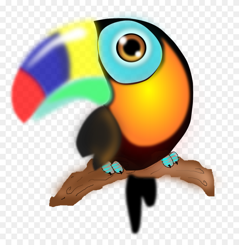1247x1280 Tucan Colombiano, Beak, Bird, Animal HD PNG Download