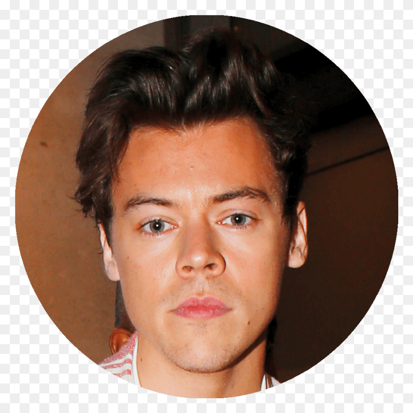 889x889 Tucked Behind A Motorised Gate On A Quarter Acre Lot Harry Styles X Leonardo Dicaprio, Face, Person, Human HD PNG Download
