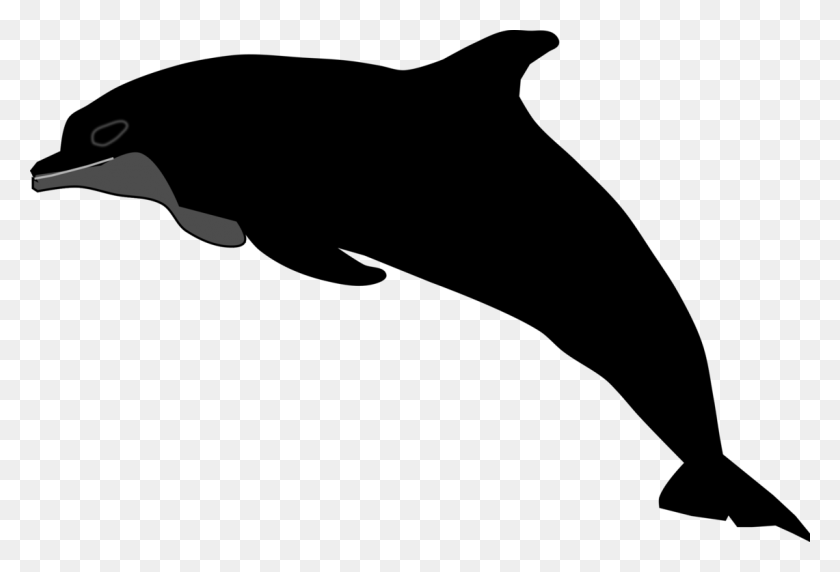 1141x750 Tucuxi Common Bottlenose Dolphin Porpoise Silhouette Wholphin, Outdoors, Face, Leisure Activities HD PNG Download