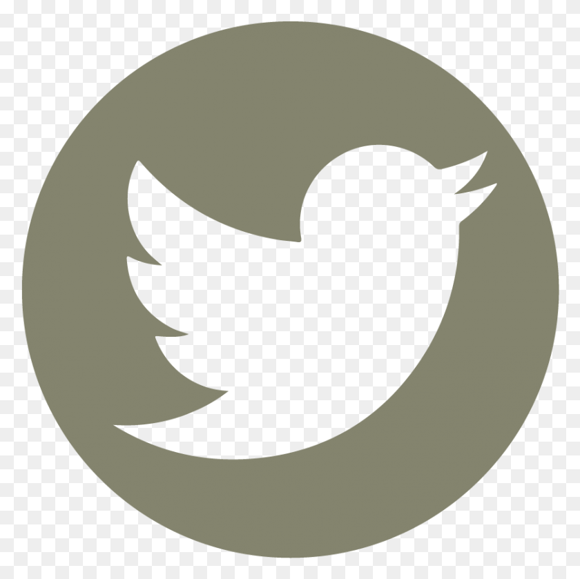836x835 Tuits De Amor Twitter Flat Logo, Symbol, Trademark, Bird HD PNG Download