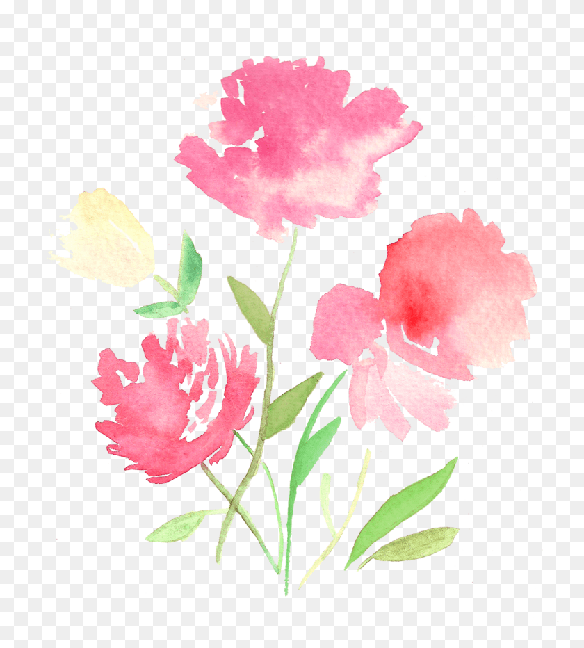 1059x1185 Tulip, Plant, Flower, Blossom HD PNG Download