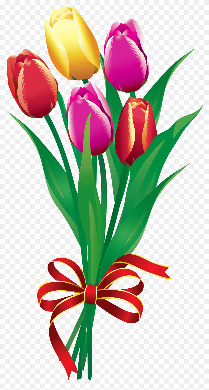 Tulip Clipart April, Flower, Plant, Flower Arrangement, Flower Bouquet PNG