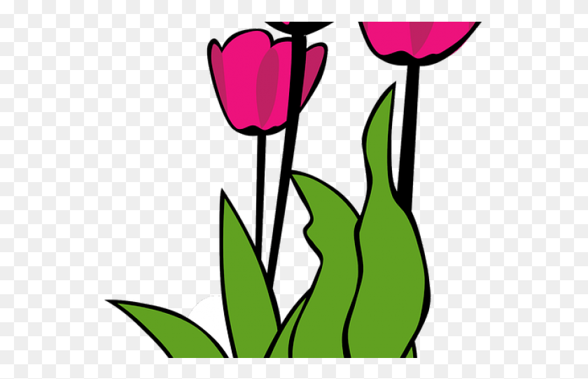 543x481 Tulip Clipart April Tulip Clip Art, Plant, Petal, Flower HD PNG Download