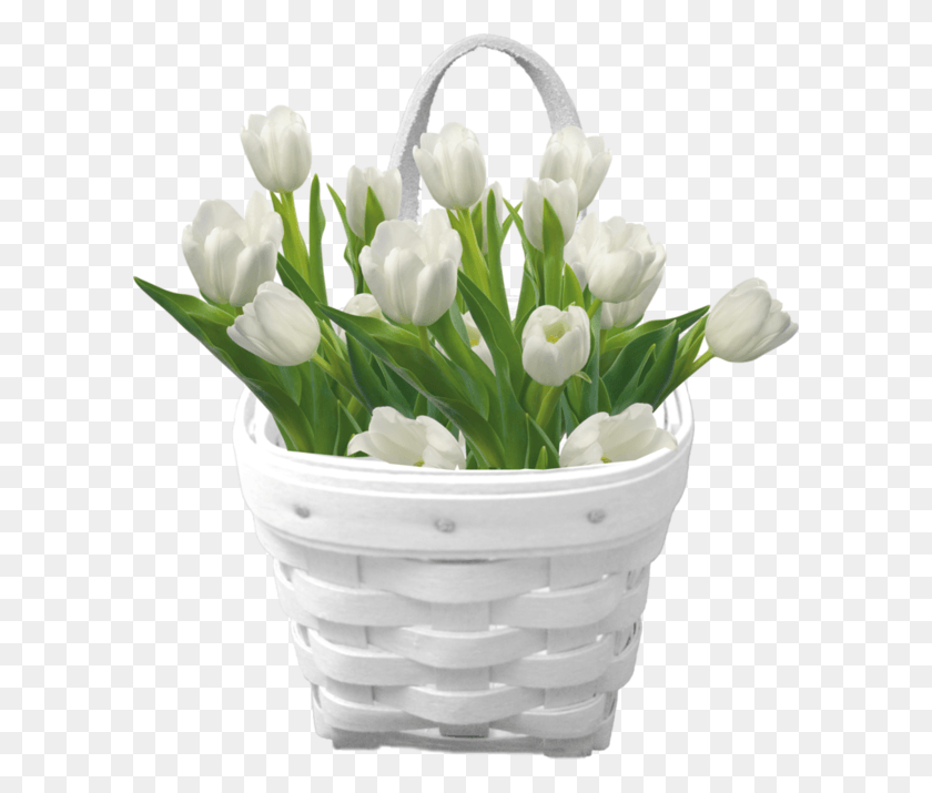 600x655 Корзина Тюльпанов Белые Тюльпаны Цветы, Растение, Цветок, Цветение Hd Png Скачать