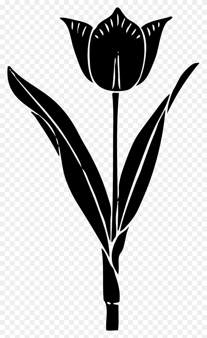 1969x3317 Tulip Clipart Black And White Tulip Silhouette, Stencil, Pattern, Symbol HD PNG Download
