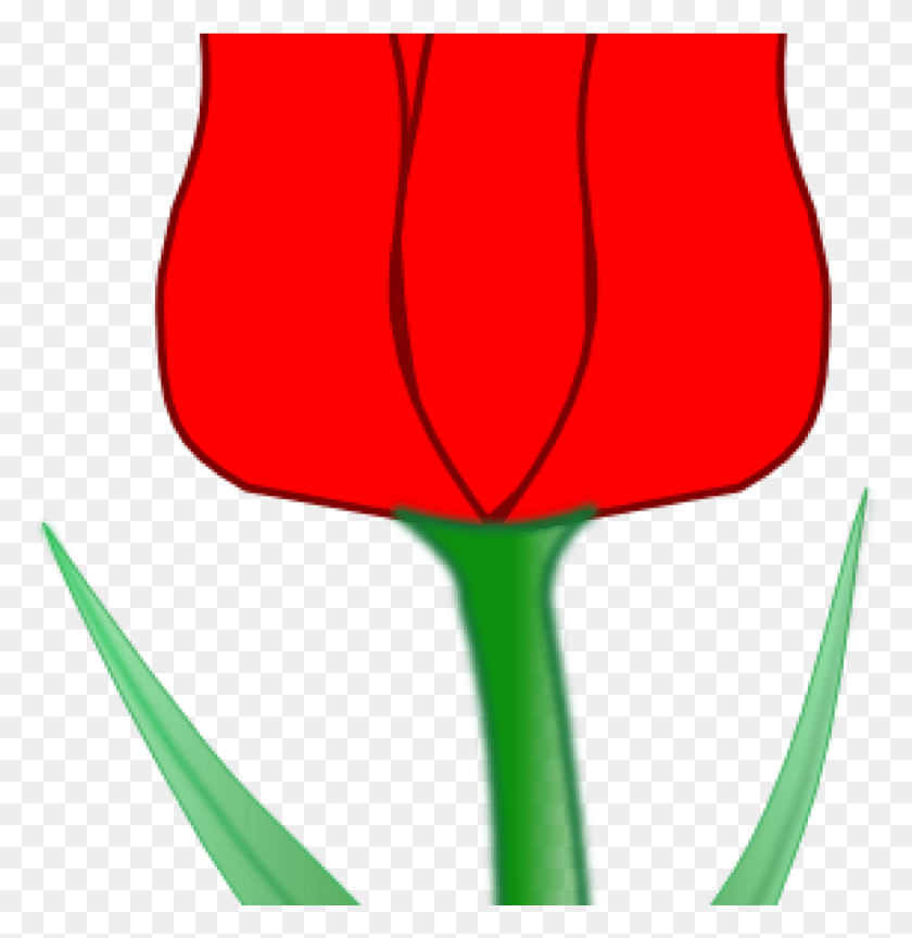 994x1025 Тюльпан Клипарт Тюльпаны Картинки Тюльпан Картинки На Clker, Лампа, Растение, Цветок Png Скачать