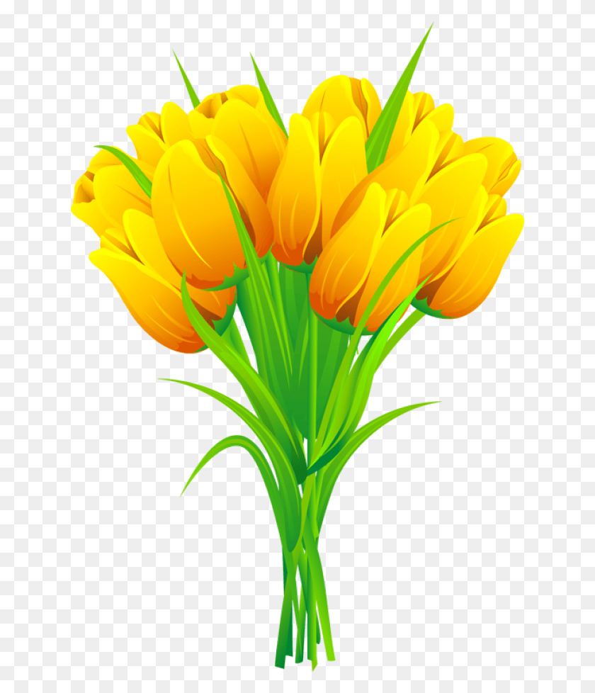 640x918 Tulip Flower Free Transparent Images Free Flower Bouquet Clipart, Plant, Blossom, Graphics HD PNG Download