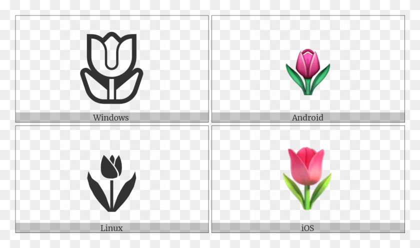 1192x667 Tulip On Various Operating Systems Emblem, Plant, Flower, Blossom HD PNG Download