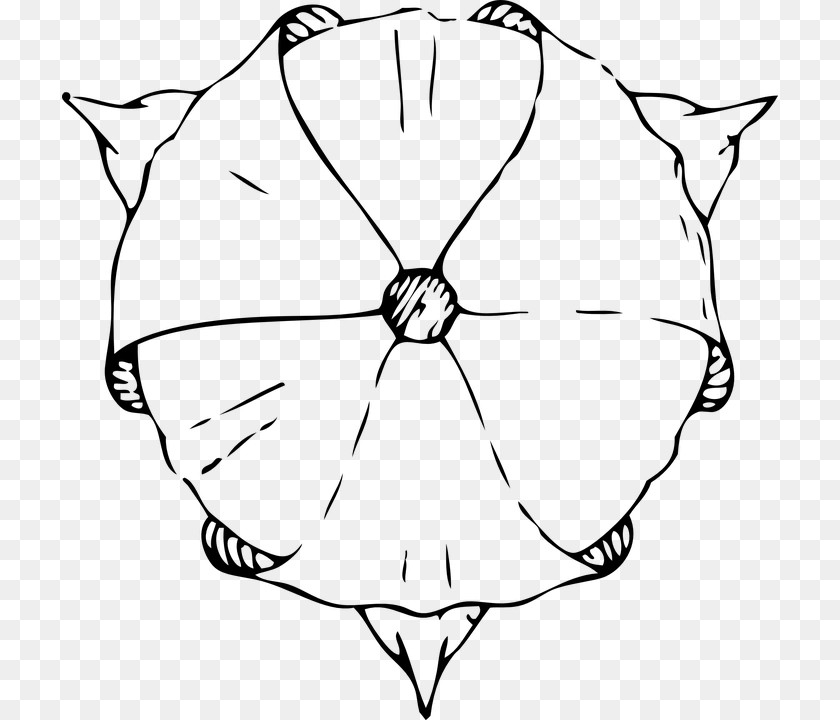 716x720 Tulip Top View Flower Art Deco Art Nouveau Tulip From The Top Drawing, Gray PNG