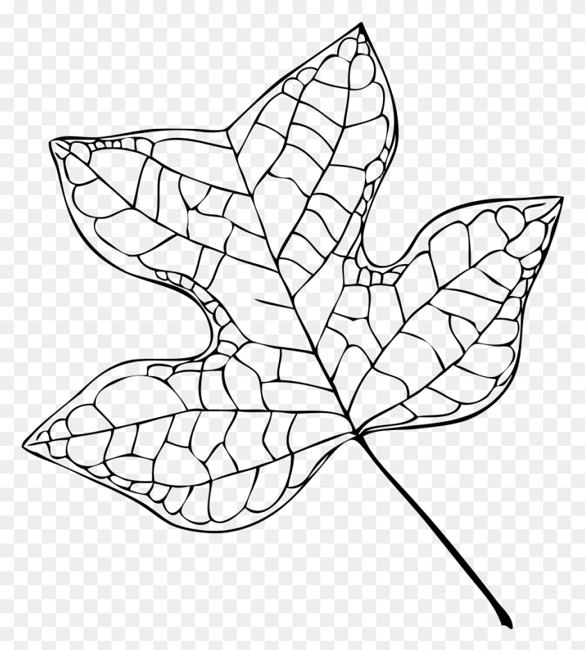 900x1008 Tulip Tree Leaf Vector Tulip Poplar Leaf Drawing, Gray, World Of Warcraft HD PNG Download