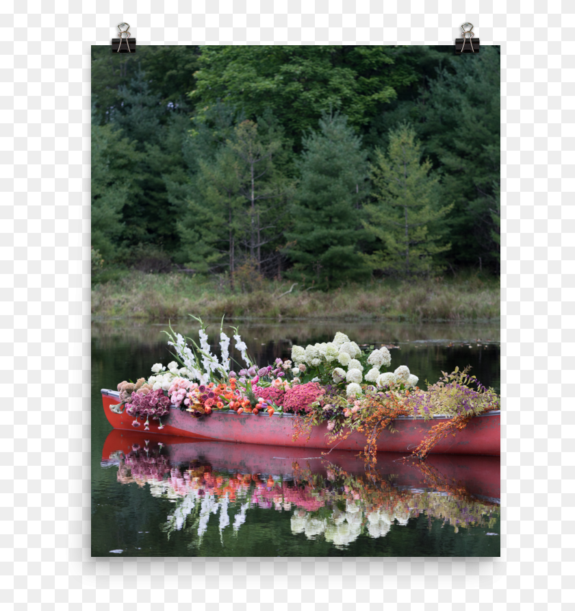 657x832 Tulipina Pond Canoe43 Nathan Underwood Mockup Transparent Picture Frame, Plant, Flower, Blossom HD PNG Download