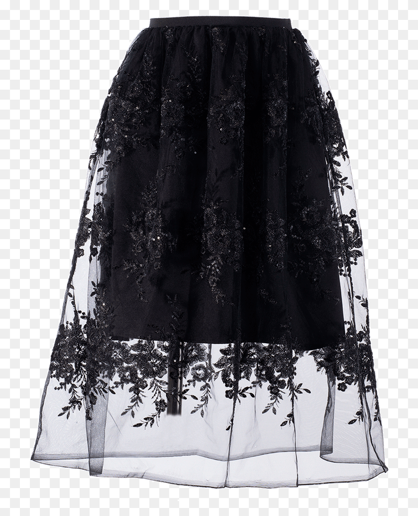 722x976 Tulle Skirt, Clothing, Apparel, Female HD PNG Download