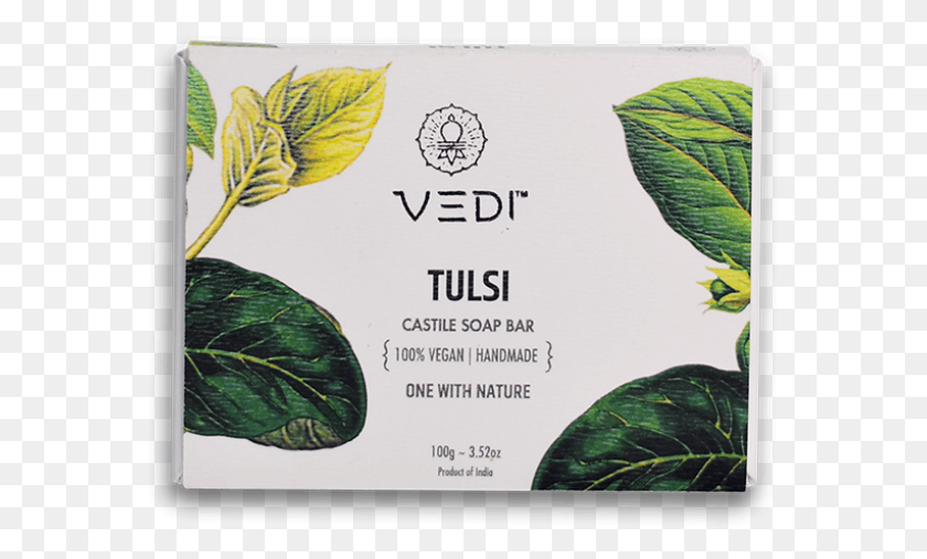 573x447 Tulsi Castile Soap Bar Kelp, Leaf, Plant, Vegetation HD PNG Download