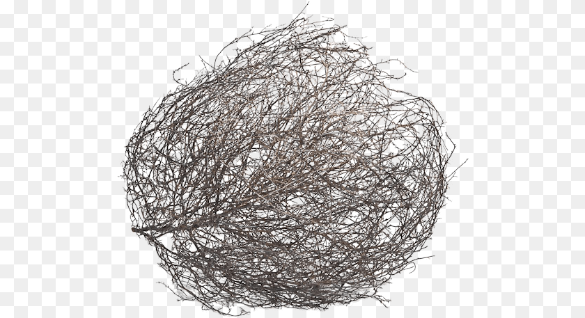 506x457 Tumbleweed, Sphere, Chandelier, Lamp PNG