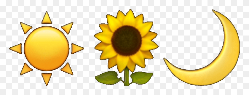 1170x392 Tumblr Aesthetic Emoji Sunflower Moon Sun Freetoedit Sunflower, Plant, Flower, Blossom HD PNG Download